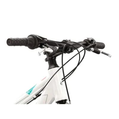 KROSS EVADO 1.0 MIXTA