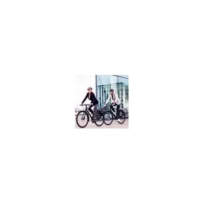 ALFORJA ORTLIEB COMMUTER-BAG TWO URBAN QL2.1 