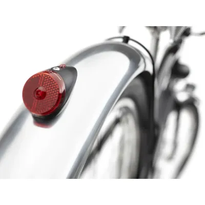 ELECTRA CRUISER GHOSTRIDER GO!