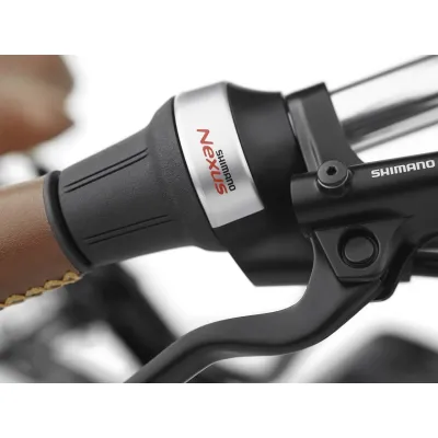 ELECTRA TOWNIE COMMUTE GO! 5i EQ STEP-THRU (2023) ELECTRA TOWNIE COMMUTE GO! 5i EQ STEP-THRU (2023)