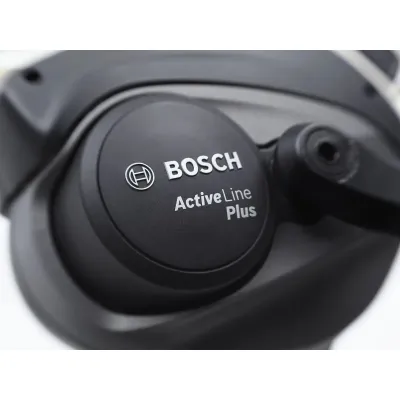 ELECTRA TOWNIE GO! 5i STEP-THRU (2023) ELECTRA TOWNIE GO! 5i STEP-THRU (2023)