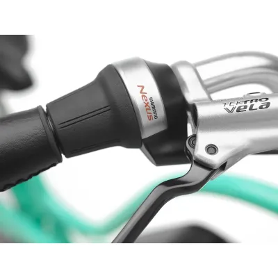 ELECTRA TOWNIE GO! 5i STEP-THRU (2023) ELECTRA TOWNIE GO! 5i STEP-THRU (2023)