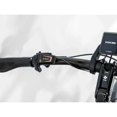 TREK ALLANT+ 9 (2025)