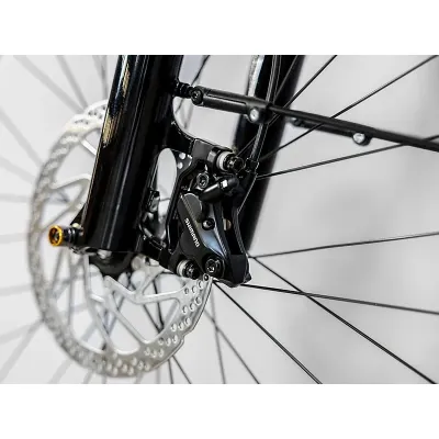 TREK ALLANT+ 6 STAGGER (2023) TREK ALLANT+ 6 STAGGER (2023)