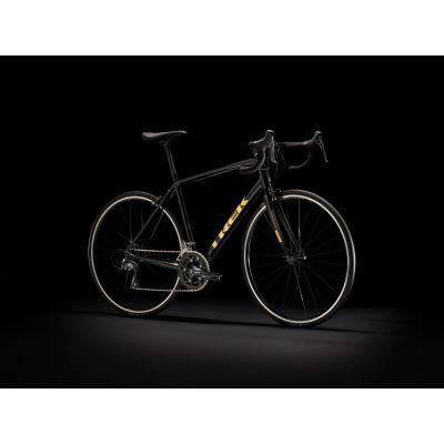 TREK DOMANE AL 2 RIM (2024)