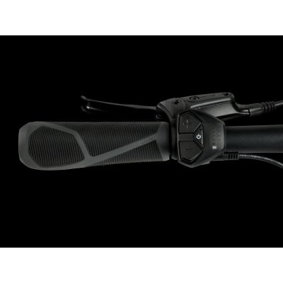 TREK VERVE+ 1 LT LOWSTEP (2025)
