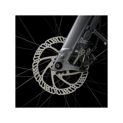 TREK VERVE+ 1 LT LOWSTEP (2025)