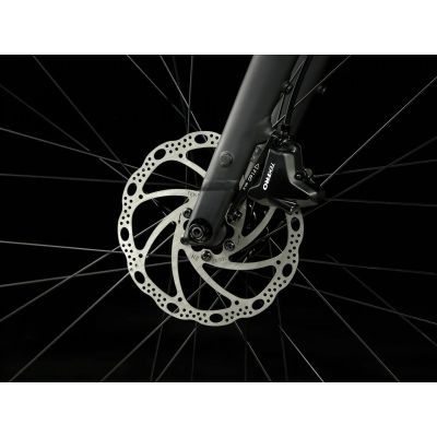 TREK FX 2 STAGGER GEN 4 (2025)