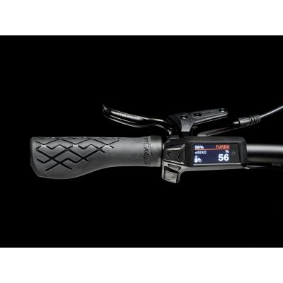 MARLIN+ 6 29 (2025) MARLIN+ 6 29 (2025)