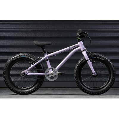 EARLY RIDER SEEKER 16