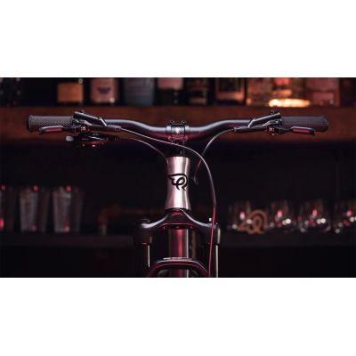 EARLY RIDER HELLION 20 EARLY RIDER HELLION 20