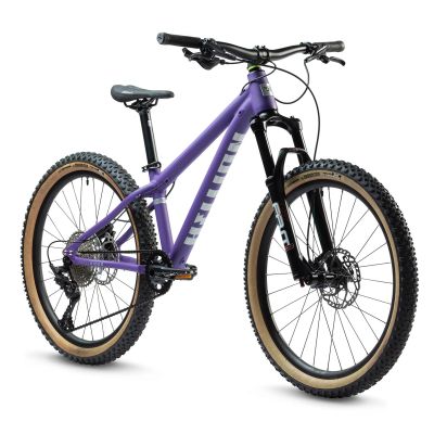 EARLY RIDER HELLION 24