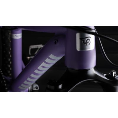 EARLY RIDER HELLION 24