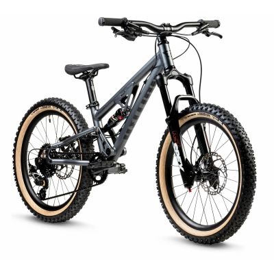 EARLY RIDER HELLION X20