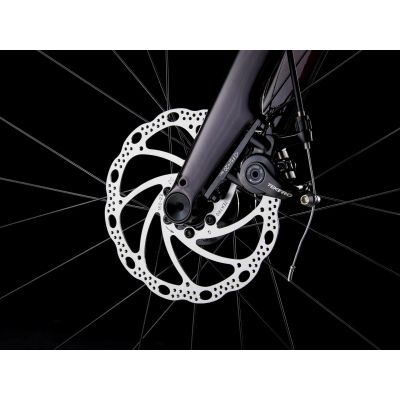 TREK DOMANE AL 2 GEN 4 (2025) TREK DOMANE AL 2 GEN 4 (2025)