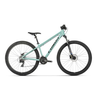 CONOR 6300 29 (2024) CONOR 6300 29 (2024)