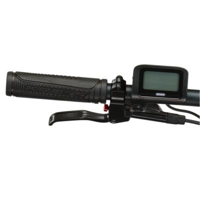 KROSS LEA BOOST 4.0 756 WH