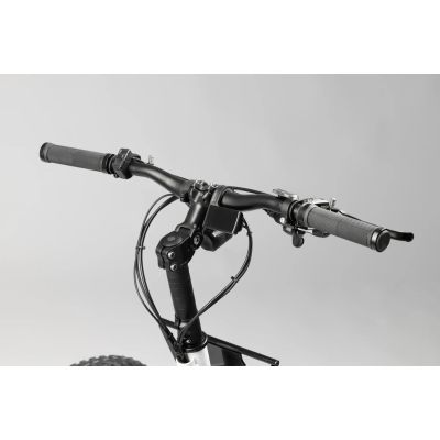 TRICICLO ELÉCTRICO ETNNIC FAT 3.0 TRICICLO ELÉCTRICO ETNNIC FAT 3.0