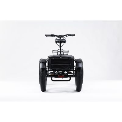 QUAD ELÉCTRICO ETNNIC FAT Las imágenes pueden diferir del producto seleccionado