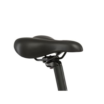 KROSS LEA 2.0 WOMAN 29 (2024-25)