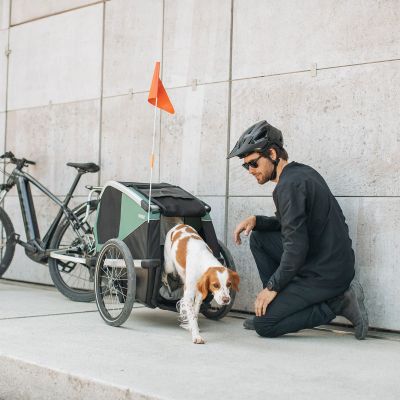 CARRITO MASCOTA THULE BEXEY M