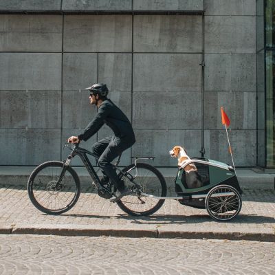 CARRITO MASCOTA THULE BEXEY M