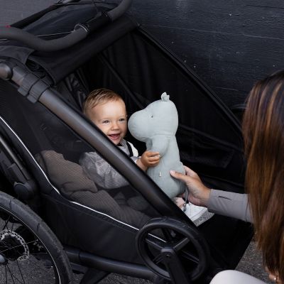 CARRITO THULE CHARIOT SPORT 2 SINGLE CARRITO THULE CHARIOT SPORT 2 SINGLE