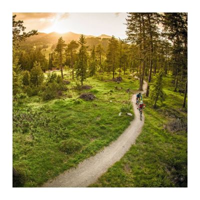 SILLÍN ERGON SMC CORE HOMBRE