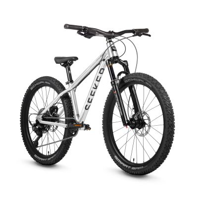 EARLY RIDER SEEKER X24