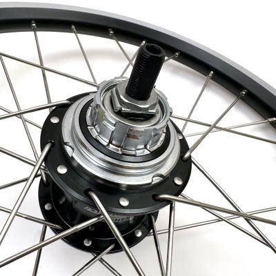 RUEDA TRASERA BROMPTON + ACCESORIOS 3/6 VELOCIDADES (NEGRO/PLATA)