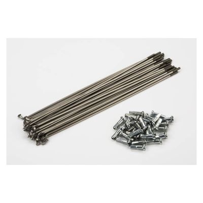 BROMPTON SET DE RADIOS 13g SENCILLA BUTTED - 146mm 